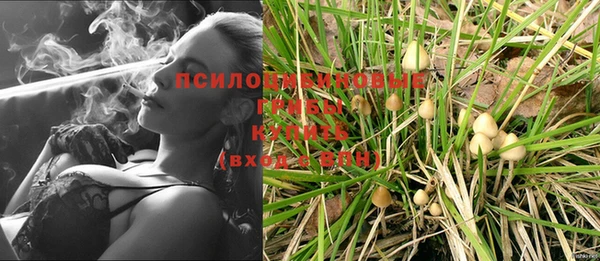 тгк Алзамай