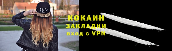 тгк Алзамай
