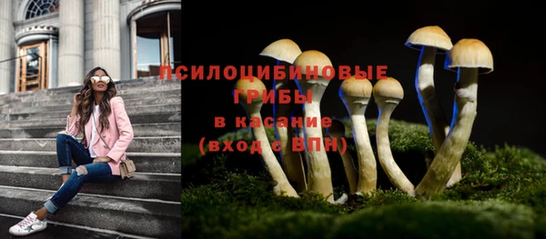 тгк Алзамай