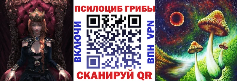 купить наркотик  Аркадак  Галлюциногенные грибы MAGIC MUSHROOMS 